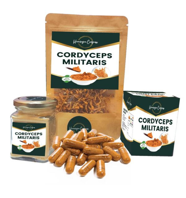 Cordyceps Militaris